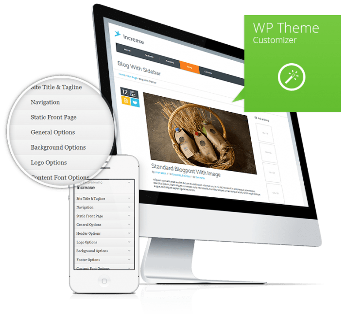 WP-Theme-Customizer